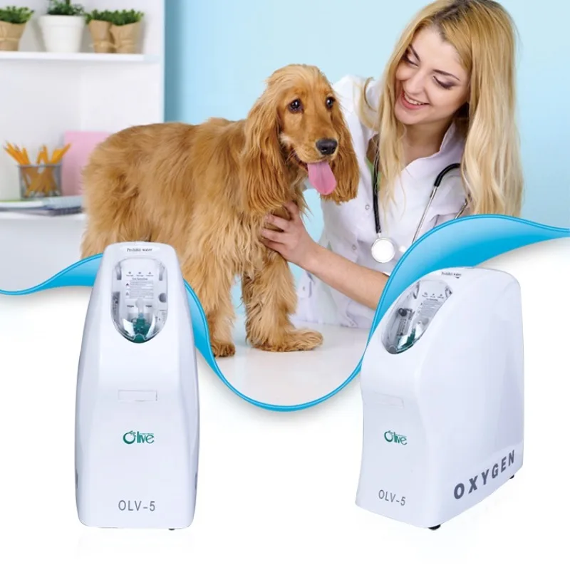 Professional veterinary equipment Dog Use Veterinary Meidical 5l Oxygen Concentrator With CE Approved
Professional veterinary equipment Dog Use Veterinary Meidical 5l Oxygen Concentrator With CE Approved
