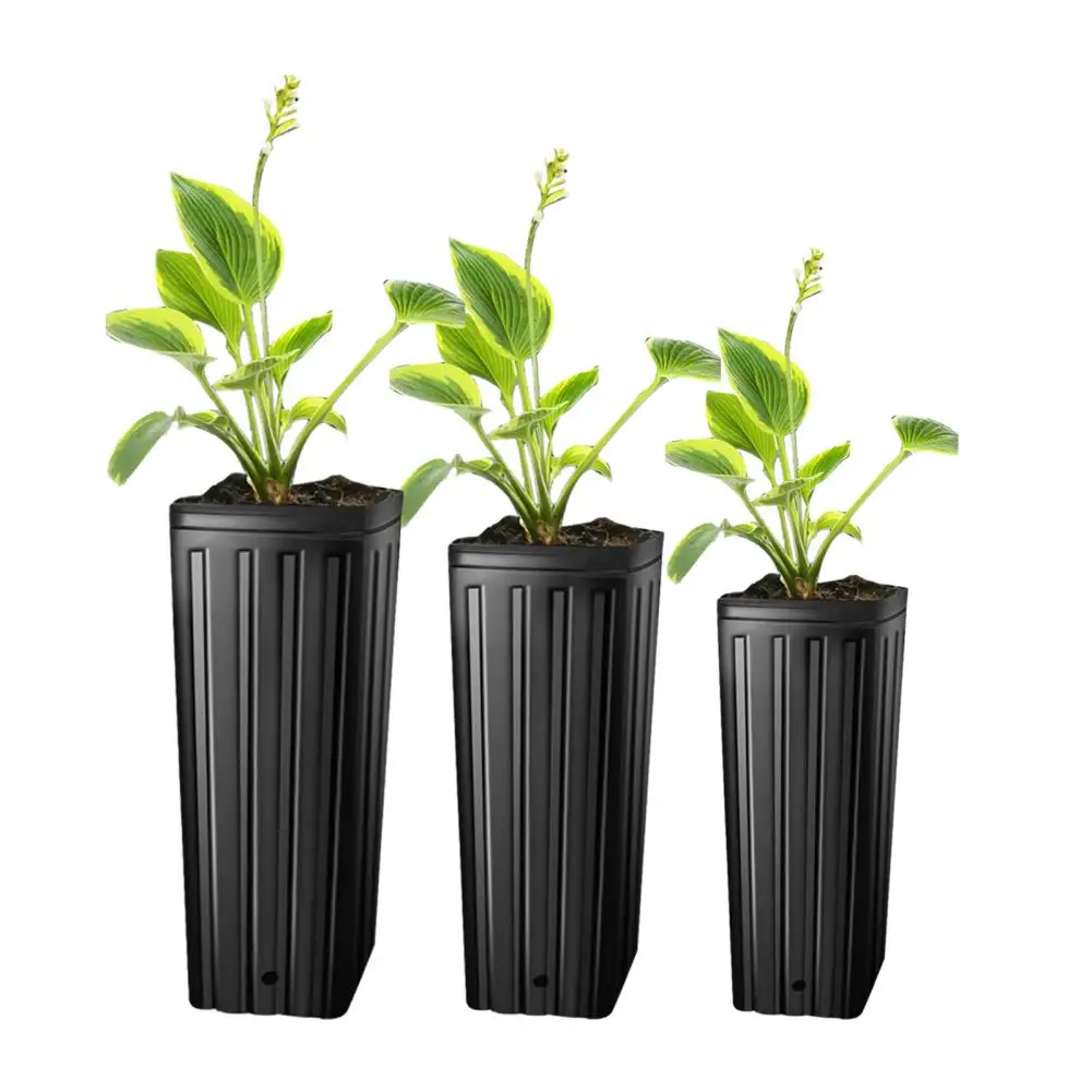 Tall Tree Pot Set of 10 Plant Nursery Pots with Drainage Holes for High Survival Rate Anti-cracking Ideal for Flower Germination
Tall Tree Pot Set of 10 Plant Nursery Pots with Drainage Holes for High Survival Rate Anti-cracking Ideal for Flower Germination
