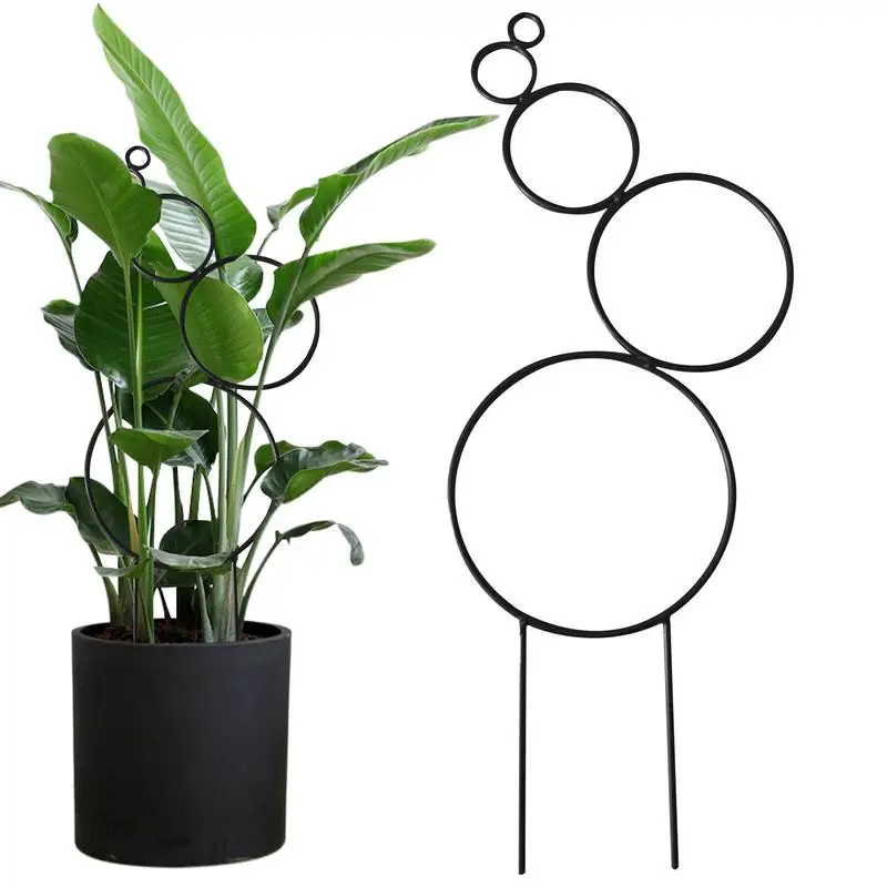 Small Trellis For Potted Plants Metal Trellis For Climbing Plants Indoor Stackable Metal Wire Houseplant Trellis For Ivy Vine
Small Trellis For Potted Plants Metal Trellis For Climbing Plants Indoor Stackable Metal Wire Houseplant Trellis For Ivy Vine