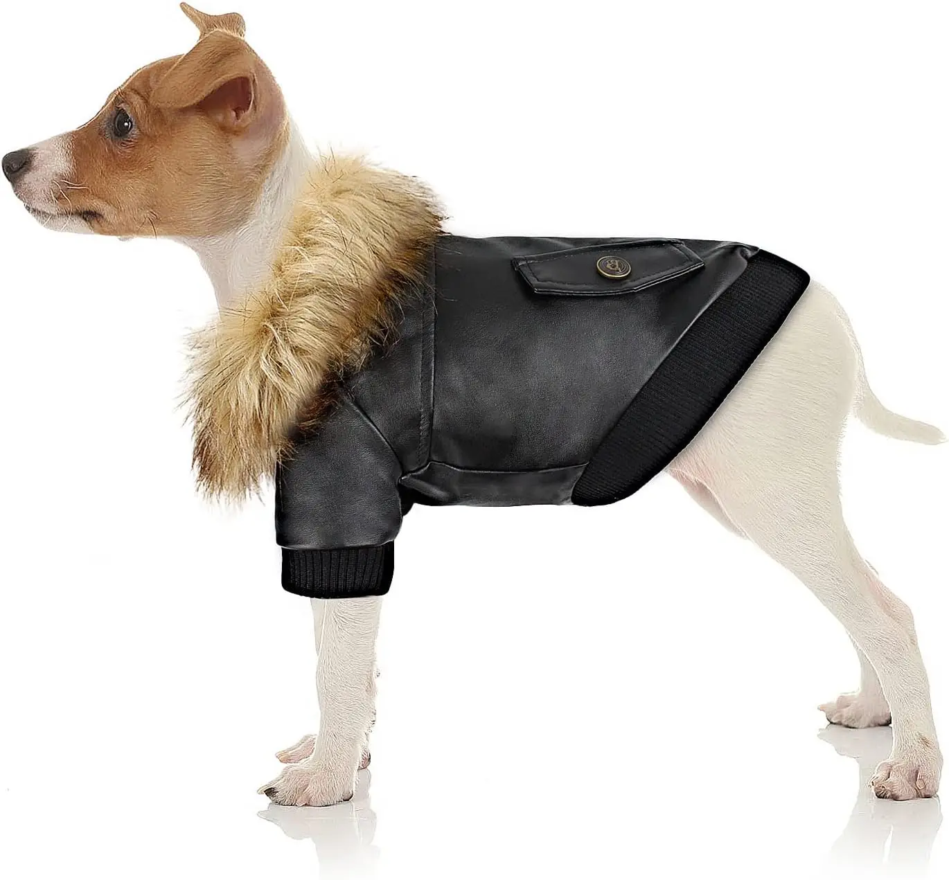 ATUBAN Warm Dog Jacket Winter Dog Coats Windproof Waterproof Fleece Lined Dog Leather Jackets for Dogs Puppy Cold Weather Clothe
ATUBAN Warm Dog Jacket Winter Dog Coats Windproof Waterproof Fleece Lined Dog Leather Jackets for Dogs Puppy Cold Weather Clothe