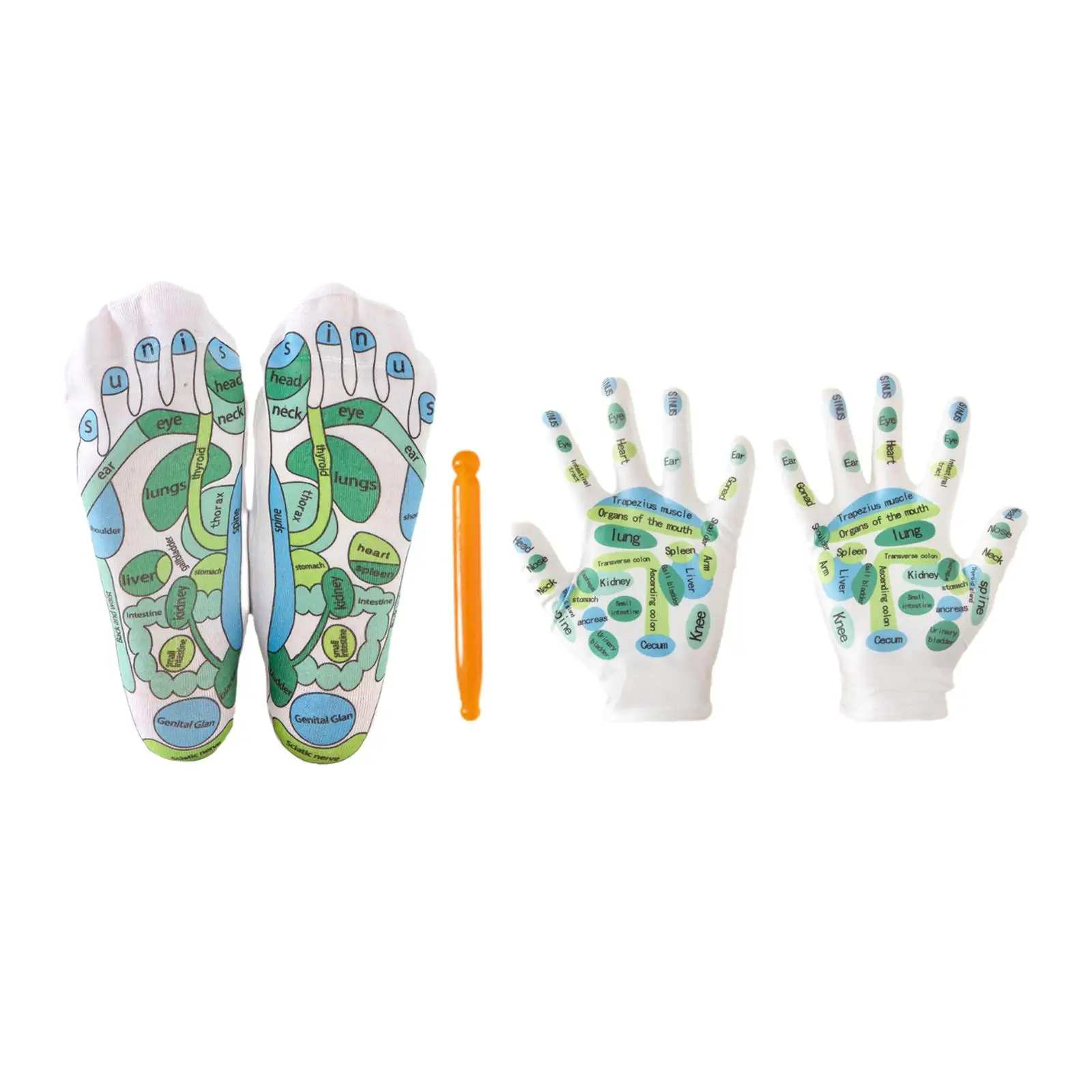 4 Pieces Reflexology Socks and Gloves Tool Set Five Finger Socks Acupoint Socks with Massage Stick for Men Women Adults Beginner
4 Pieces Reflexology Socks and Gloves Tool Set Five Finger Socks Acupoint Socks with Massage Stick for Men Women Adults Beginner