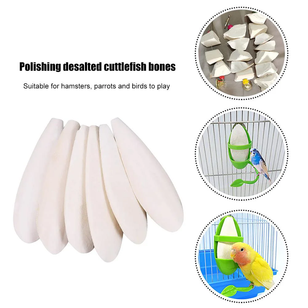 Cuttlefish Bone Bird Toys Pet Parrot Chew Toys Hanging Bell Chewing Bird Food Calcium Pick Stone Parakeet Cockatiel Molars Stone
Cuttlefish Bone Bird Toys Pet Parrot Chew Toys Hanging Bell Chewing Bird Food Calcium Pick Stone Parakeet Cockatiel Molars Stone