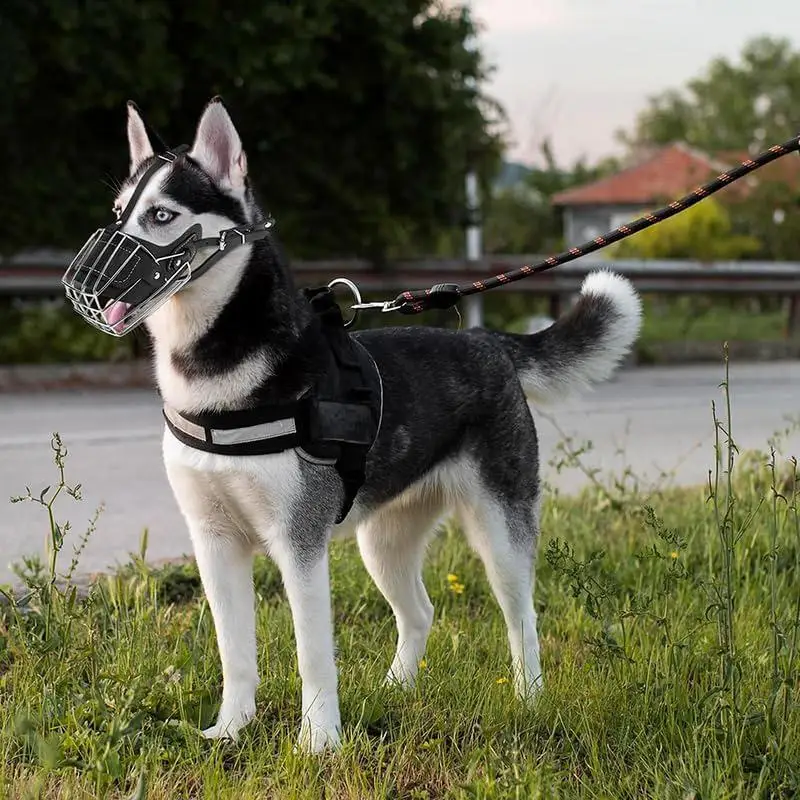 

Dog Muzzle Wire Basket Dog Mouth Mesh Adjustable Dog Muzzle Breathable Metal Basket Muzzles For Large Breed Dogs Dog Muzzle
