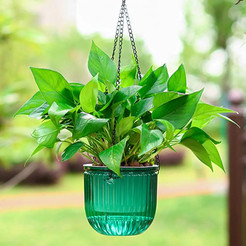 Hanging Flowerpot with Chain Transparent Shell Self-absorbing Water Flower Plant Pot Hydroponic Planter Gardening Supplies
Hanging Flowerpot with Chain Transparent Shell Self-absorbing Water Flower Plant Pot Hydroponic Planter Gardening Supplies
