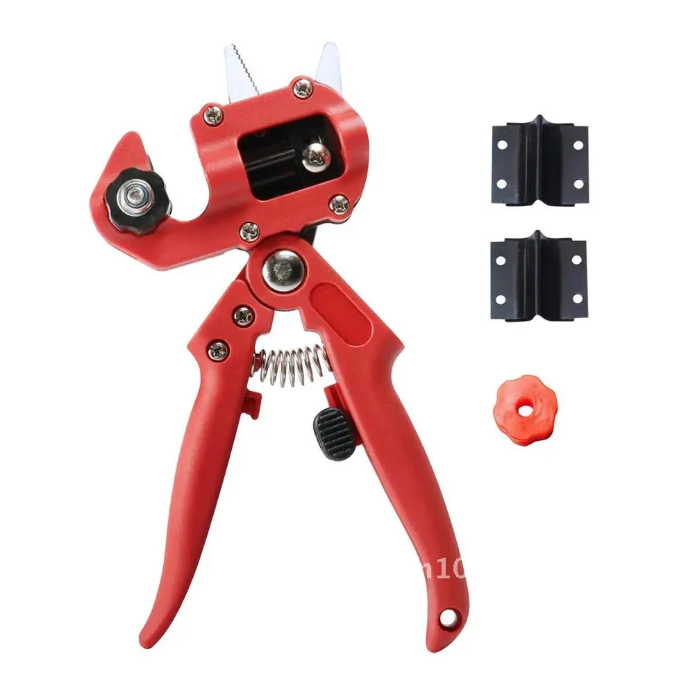 Gardening Tools for Professional Pruning of Fruit Trees in Farming Orchard
Gardening Tools for Professional Pruning of Fruit Trees in Farming Orchard