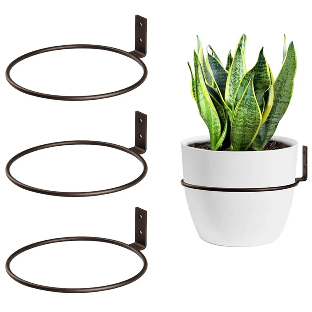 Plant Holder Ring Plant Wall Mount Flower Pot Holder Ring Metal Wall Mounted Plant Hanger for Indoor Plant Flowers Brackets
Plant Holder Ring Plant Wall Mount Flower Pot Holder Ring Metal Wall Mounted Plant Hanger for Indoor Plant Flowers Brackets