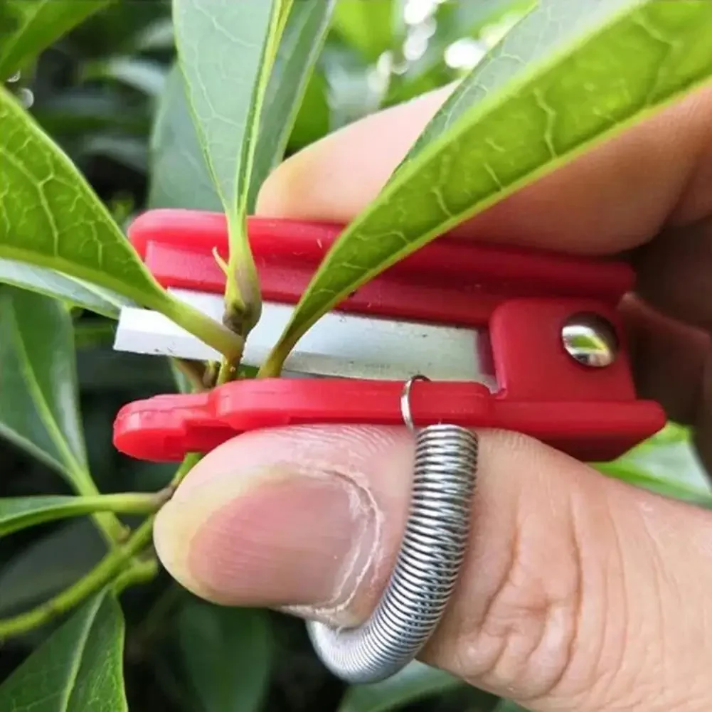 Multifunction Thumb Knife Garden Pruner Fruit Picking Device Safe Fruit Blade Tool Cutting Blade Rings Finger Protector Catcher
Multifunction Thumb Knife Garden Pruner Fruit Picking Device Safe Fruit Blade Tool Cutting Blade Rings Finger Protector Catcher