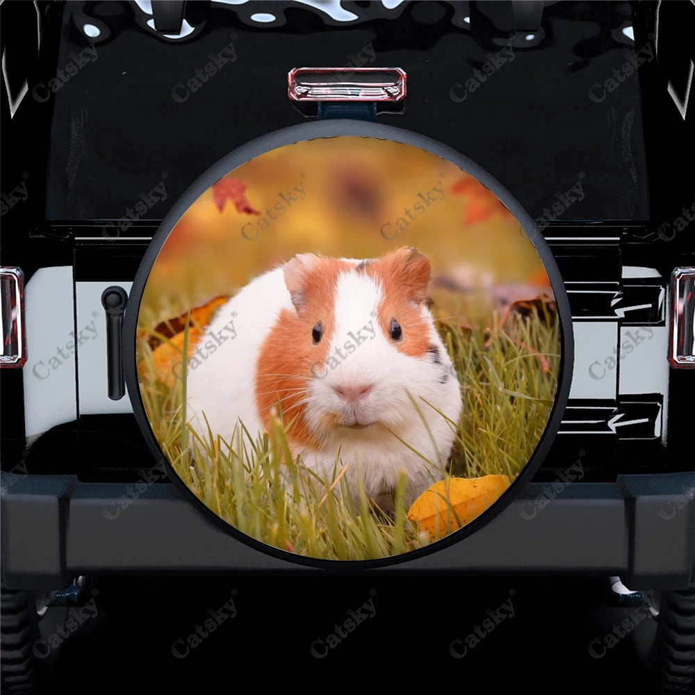 Чехол для запасных шин с принтом морской свинки, водонепроницаемая защита для колес автомобиля, грузовика, внедорожника, прицепа, Rv 14-17 дюймов
Чехол для запасных шин с принтом морской свинки, водонепроницаемая защита для колес автомобиля, грузовика, внедорожника, прицепа, Rv 14-17 дюймов