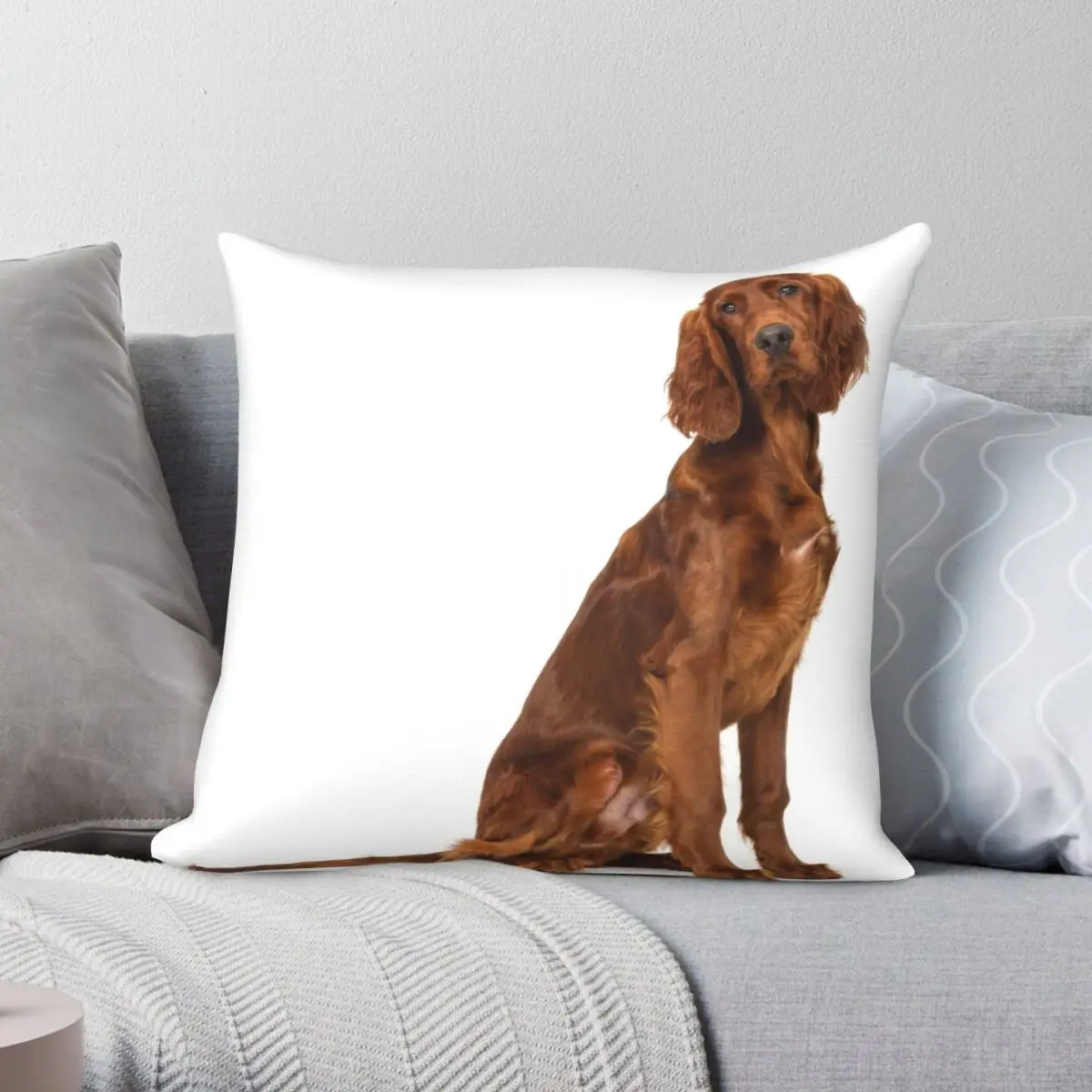 Young Irish Setter Pillowcase Polyester Linen Velvet Creative Zip Decor Home Cushion Cover 18"
Young Irish Setter Pillowcase Polyester Linen Velvet Creative Zip Decor Home Cushion Cover 18"