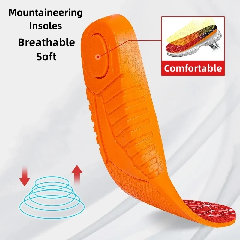 Hiking Mountaineering Field Jogging Camping Cycling Insole Thickened High Elastic Latex Soft Sole Shock Absorbing Stretch Insole
Hiking Mountaineering Field Jogging Camping Cycling Insole Thickened High Elastic Latex Soft Sole Shock Absorbing Stretch Insole