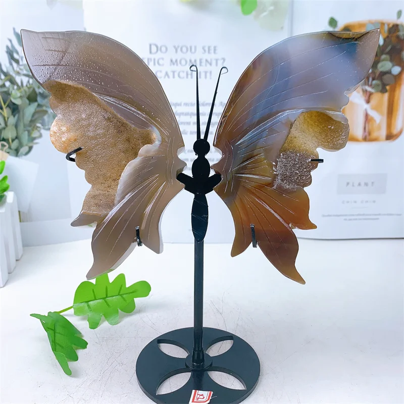 Natural Agate Geode Butterfly Wings Crystal Hand Carved Crafts Sculpture Healing Gemstone Stone Gifts Home Ornament Decora
Natural Agate Geode Butterfly Wings Crystal Hand Carved Crafts Sculpture Healing Gemstone Stone Gifts Home Ornament Decora
