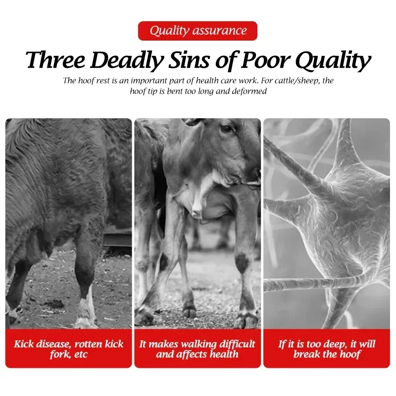 Двойной нож, Искусственный деревянный край, стальная ручка, корова, лошадь, резак, 1 шт., многофункциональная копыта из нержавеющей овцы
Двойной нож, Искусственный деревянный край, стальная ручка, корова, лошадь, резак, 1 шт., многофункциональная копыта из нержавеющей овцы