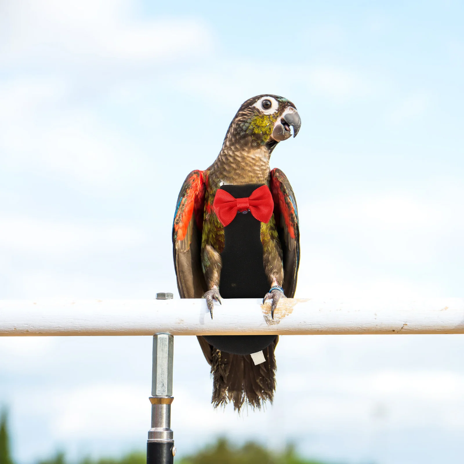 Breathable Bird Flight Clothes Parrot Diaper Washable Pet Bird Diaper Bird Nappies
Breathable Bird Flight Clothes Parrot Diaper Washable Pet Bird Diaper Bird Nappies