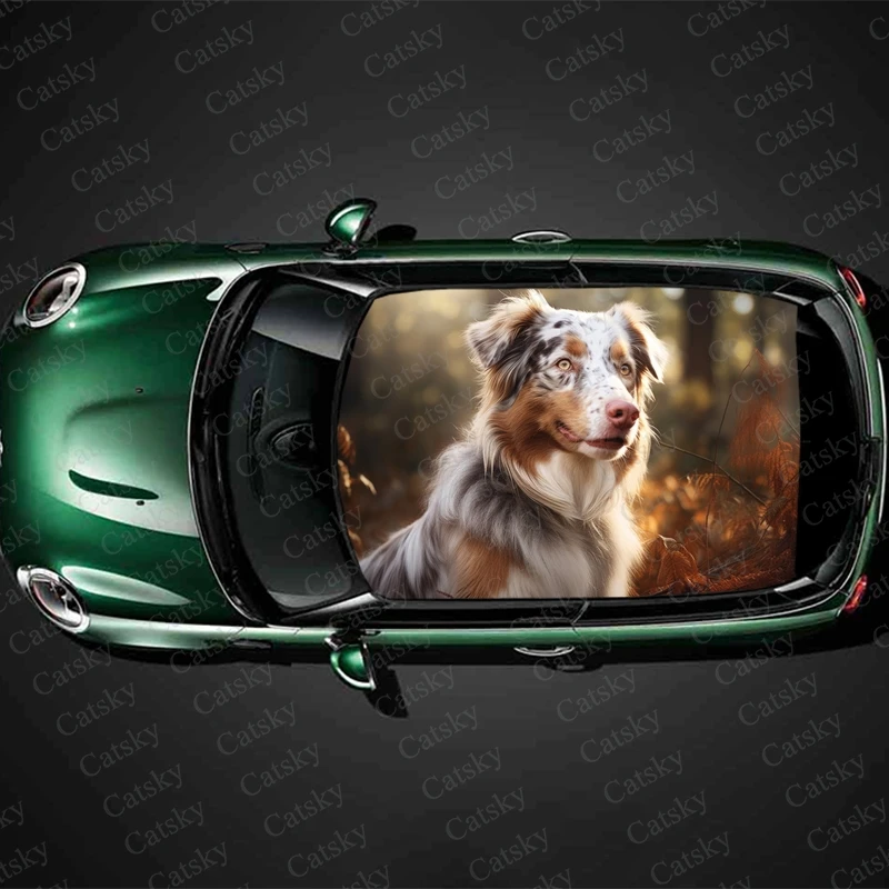 Australian Shepherd Car Roof Sticker Wrap Racing SUV Accessories Packaging Painted PVC Custom Car Graphic Decal
Australian Shepherd Car Roof Sticker Wrap Racing SUV Accessories Packaging Painted PVC Custom Car Graphic Decal