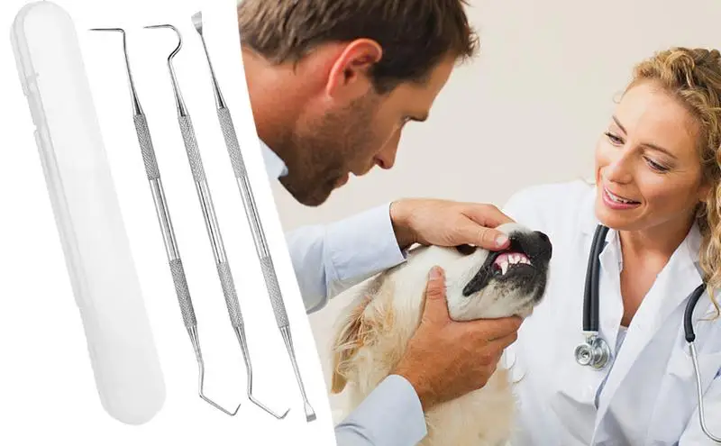 Teeth Cleaner for Dogs Super Soft Pet Teeth Cleaning Scraper for Food Leavings Removal Non toxic Tool pet Dog Cleaning Supplies
Teeth Cleaner for Dogs Super Soft Pet Teeth Cleaning Scraper for Food Leavings Removal Non toxic Tool pet Dog Cleaning Supplies