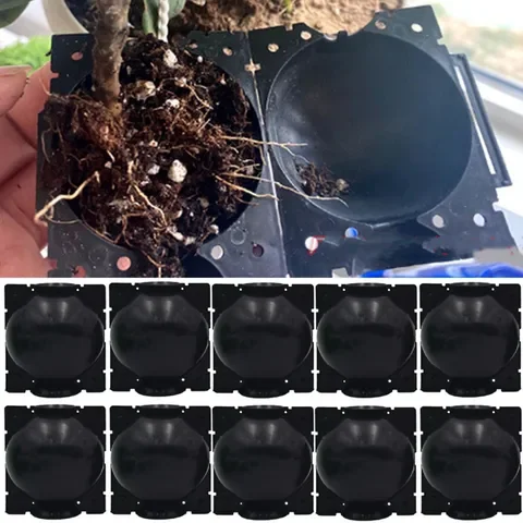 10pcs Plant Rooting Equipment High Pressure Propagation Ball Graft Box Breeding Case For Garden Graft Box Sapling
10pcs Plant Rooting Equipment High Pressure Propagation Ball Graft Box Breeding Case For Garden Graft Box Sapling