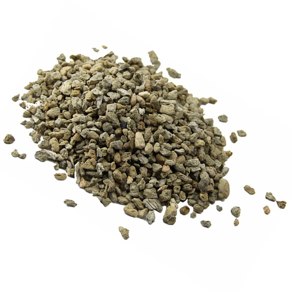 Title: Bag of Succulent Cactus Gravel Pebbles Plants Soil Covers Horticultural Gravel Terrarium Potting Pebbles
Title: Bag of Succulent Cactus Gravel Pebbles Plants Soil Covers Horticultural Gravel Terrarium Potting Pebbles