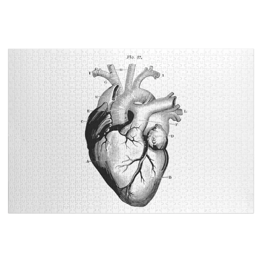 VINTAGE ANATOMICAL HEART (BLACK) Jigsaw Puzzle Custom Child For Children Puzzle
VINTAGE ANATOMICAL HEART (BLACK) Jigsaw Puzzle Custom Child For Children Puzzle