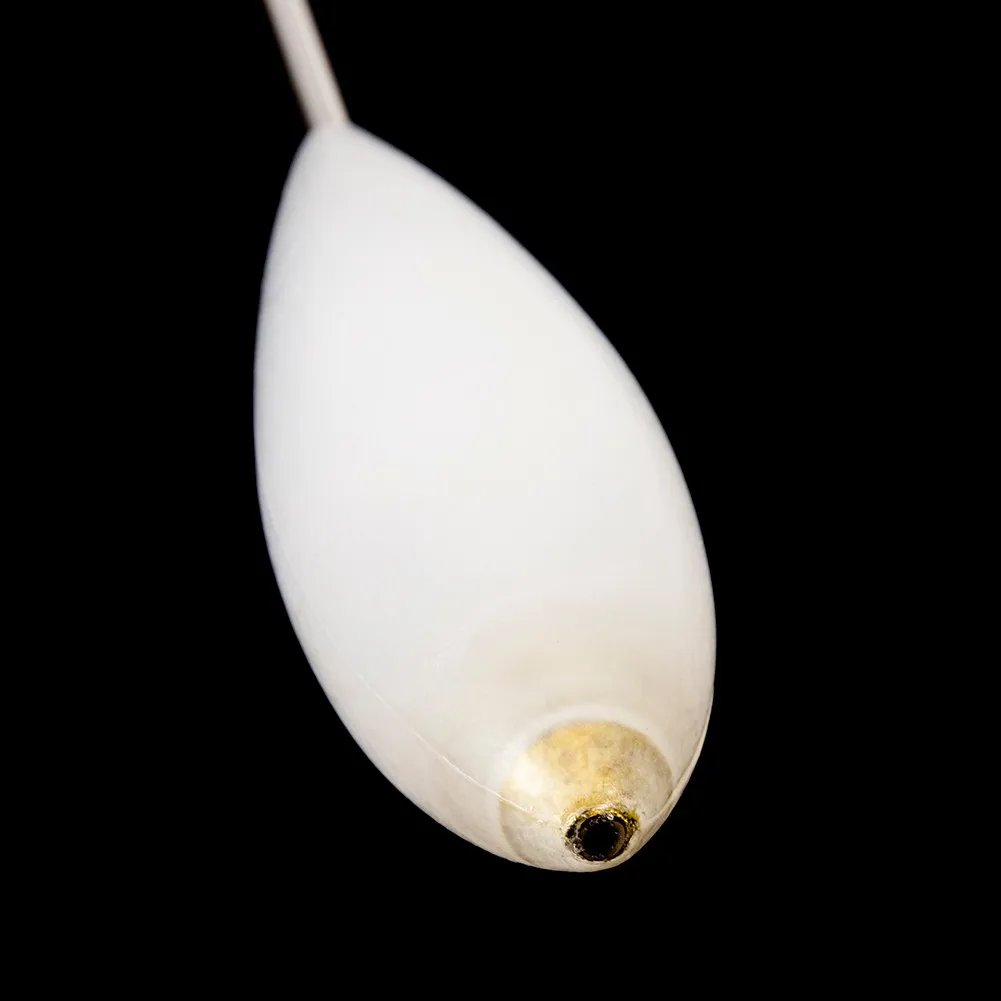 White Acrylic Fishing Float 10/15/20/30g Equipement Floating Half-Sinking Sea Tackle Hot Sale Practical Durable
White Acrylic Fishing Float 10/15/20/30g Equipement Floating Half-Sinking Sea Tackle Hot Sale Practical Durable