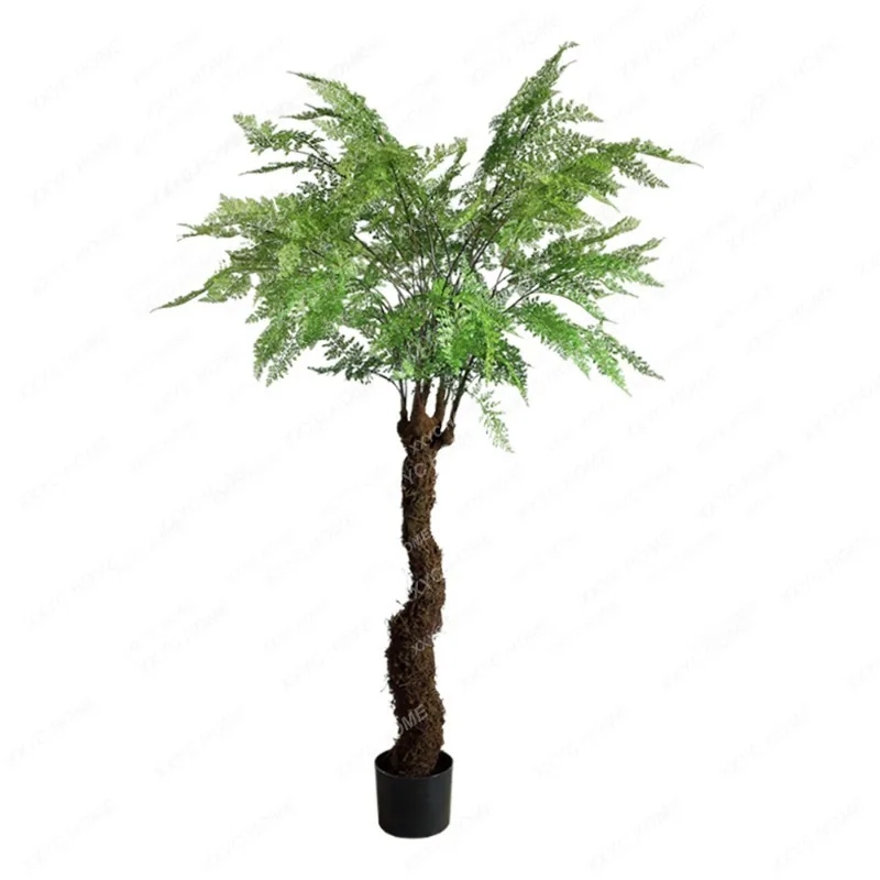 Simulation Green Plant Large Bonsai Nordic Style Potted Plant Floor Ornaments Cyathea Tree Black Bone Mango Ferns
Simulation Green Plant Large Bonsai Nordic Style Potted Plant Floor Ornaments Cyathea Tree Black Bone Mango Ferns