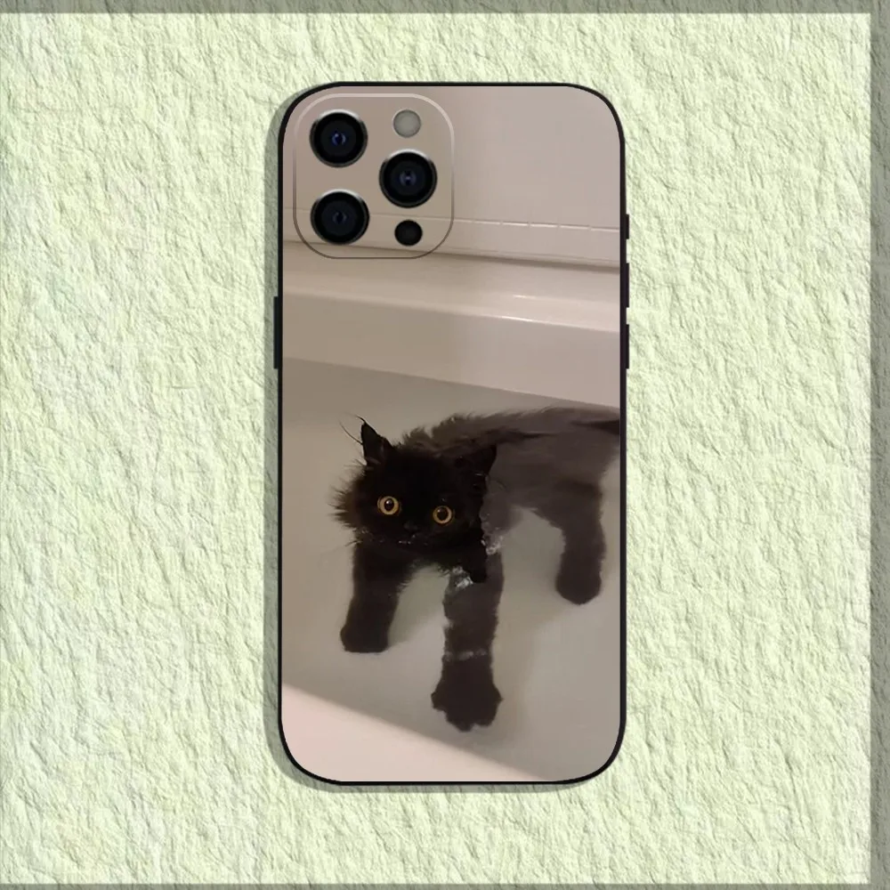 Pet Cat Funny memes Phone Case For iPhone 16,15,14,13,12,11,Pro,X,XS,Max,XR,Plus,Mini Soft Black Cover Pet Cat Funny memes Phone Case For iPhone 16,15,14,13,12,11,Pro,X,XS,Max,XR,Plus,Mini Soft Black Cover