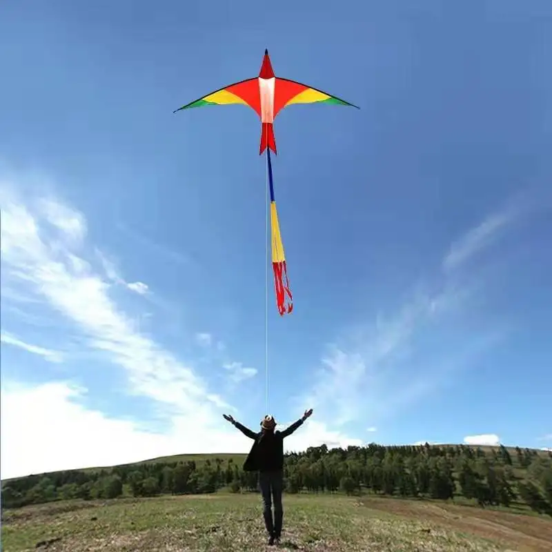 free shipping 3m swiss firebird Kite flying outdoor toys set handle kites tails windsurfing Sports play large kite giant kite
free shipping 3m swiss firebird Kite flying outdoor toys set handle kites tails windsurfing Sports play large kite giant kite