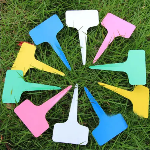50 Or 100pcs Label Plate Plant T Type Tags Markers For Nursery Garden Plant Flower Naming Labels Waterproof Plastic 6x10cm
50 Or 100pcs Label Plate Plant T Type Tags Markers For Nursery Garden Plant Flower Naming Labels Waterproof Plastic 6x10cm