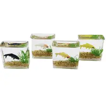 Fish Tank Toy Small Craft Exquisite Simulation Dollhouse Fish Tank Model for Kids Fish Tank Model Mini Aquarium
Fish Tank Toy Small Craft Exquisite Simulation Dollhouse Fish Tank Model for Kids Fish Tank Model Mini Aquarium