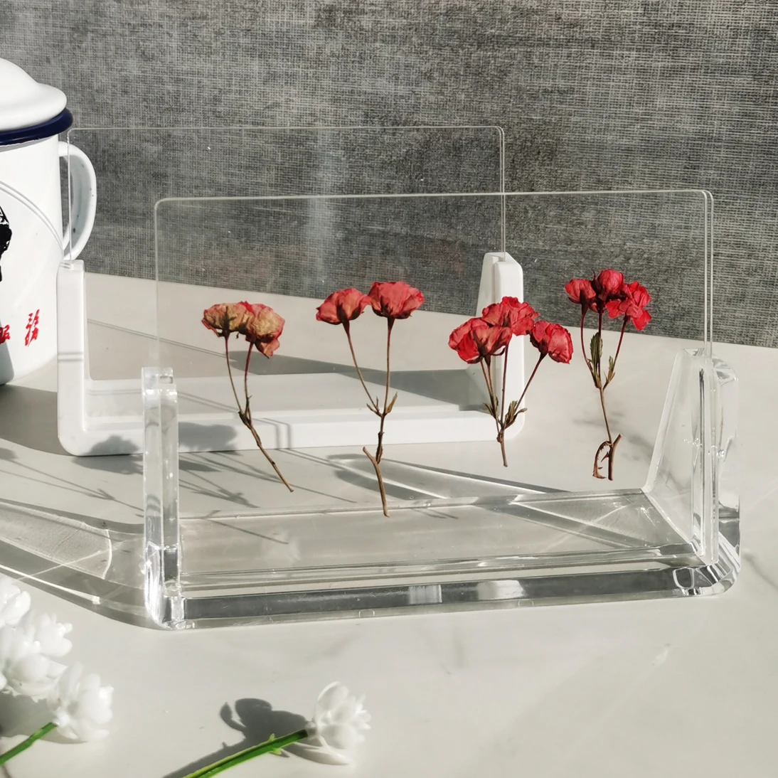 Generic U Shaped Po Frames Specimen Display Frame, Free Standing Jumia Nigeria