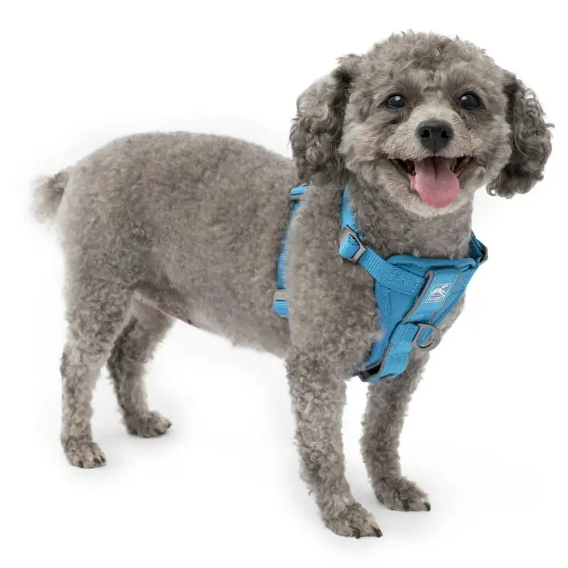 Smart Harness - QR, Blue, S Dog bowtie Acesorios para perros Dog grooming bows Hair bows Small dog clothing Cute cat collar Dog
Smart Harness - QR, Blue, S Dog bowtie Acesorios para perros Dog grooming bows Hair bows Small dog clothing Cute cat collar Dog
