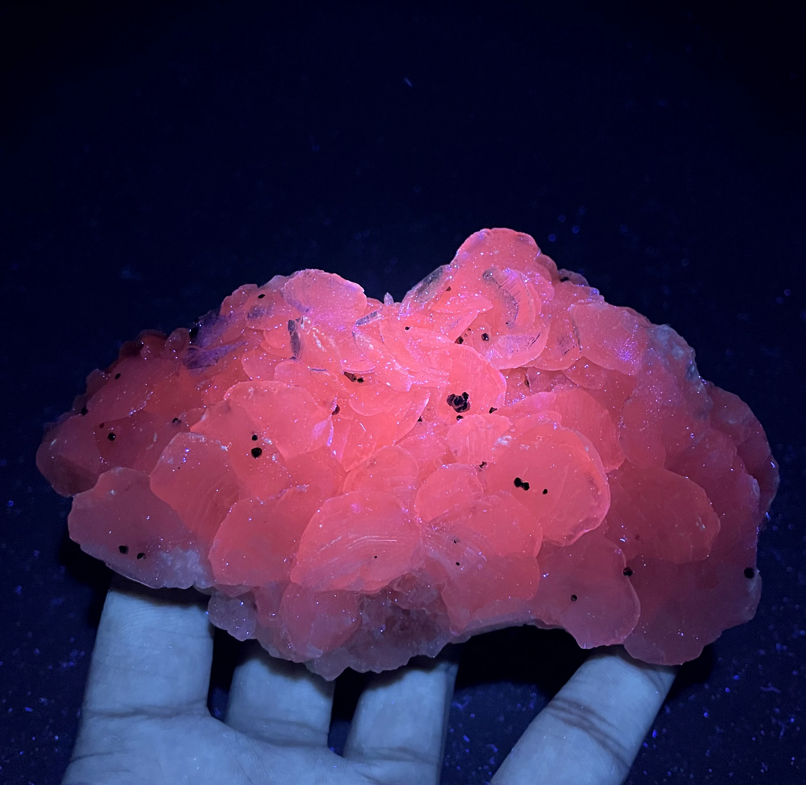 Новинка! 100% натуральный флуоресцентный кальцит минеральный образец камни и кристаллы Исцеляющие кристаллы кварц
Новинка! 100% натуральный флуоресцентный кальцит минеральный образец камни и кристаллы Исцеляющие кристаллы кварц