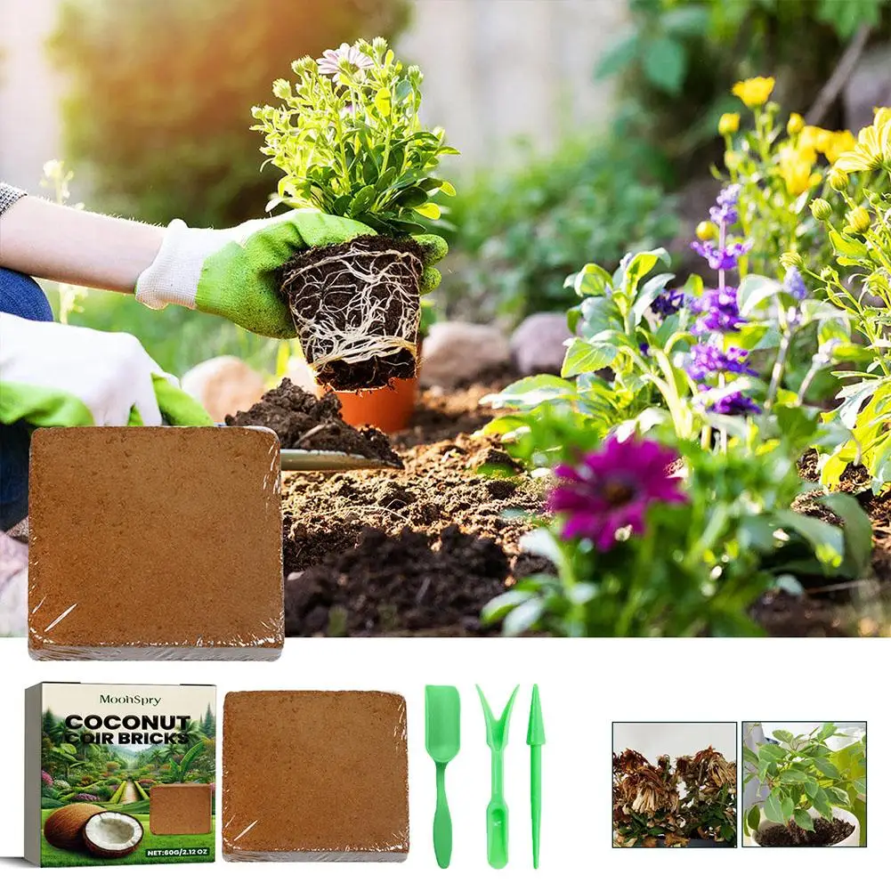 

Coir Fiber Brick Natural Compressed Bricks Improve Home Supplies Promote Garden Texture Palnt Planting Growth Healthy Soil D9o0