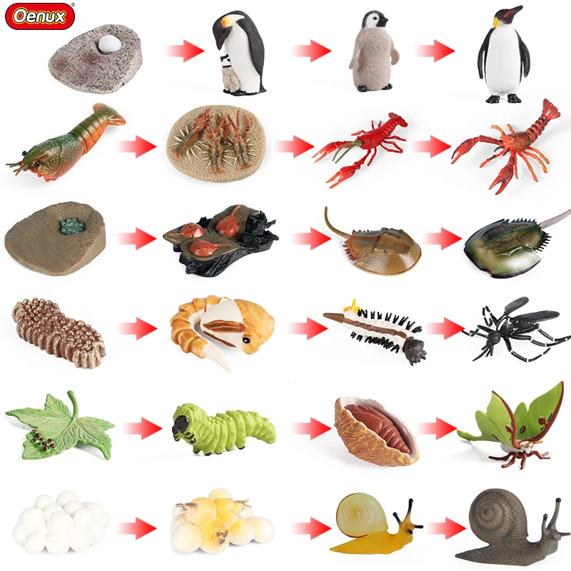 Life Growth Cycle Model Simulation Penguin Lobster Snail Salmon Action Figures Miniature School Educational Kids Toy Gifts
Life Growth Cycle Model Simulation Penguin Lobster Snail Salmon Action Figures Miniature School Educational Kids Toy Gifts