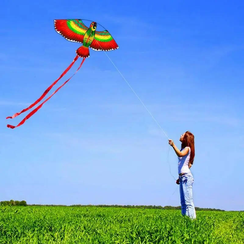 

Rainbow Color Parrot Kite With String Plastic Handle Family Outdoor Fun Sports Kites Flying Toys For Children High Quality T7i4