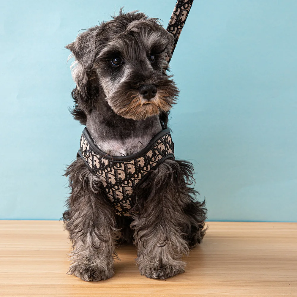 Pet Chest Back Print Harness Set with Luxury Vest-style Large Dog Leash For Outdoor Dog Walking Puppy Accessories Supplies
Pet Chest Back Print Harness Set with Luxury Vest-style Large Dog Leash For Outdoor Dog Walking Puppy Accessories Supplies