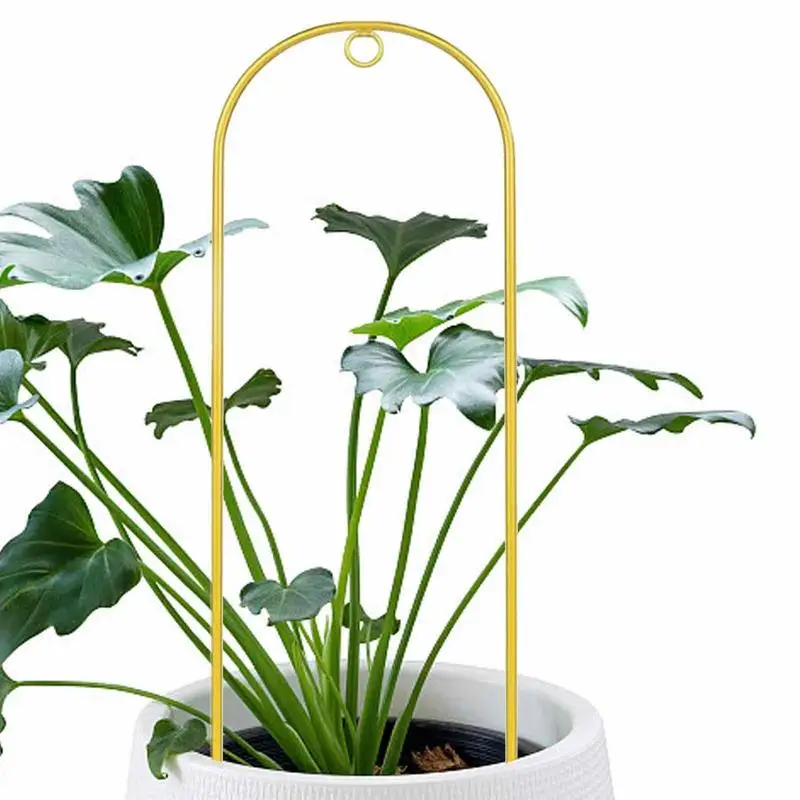 Indoor Plant Trellis Arched Shape Metal Trellises Houseplant Climber Support For Potted Plants Boho Decorative Pot Lattice With
Indoor Plant Trellis Arched Shape Metal Trellises Houseplant Climber Support For Potted Plants Boho Decorative Pot Lattice With