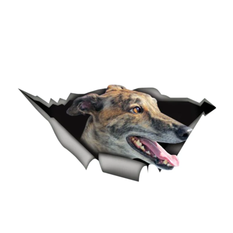 Personality 3D Car Sticker Greyhound Pet Animal Decals Auto Accessories Car Window Waterproof PVC 13cm X 6cm
Personality 3D Car Sticker Greyhound Pet Animal Decals Auto Accessories Car Window Waterproof PVC 13cm X 6cm