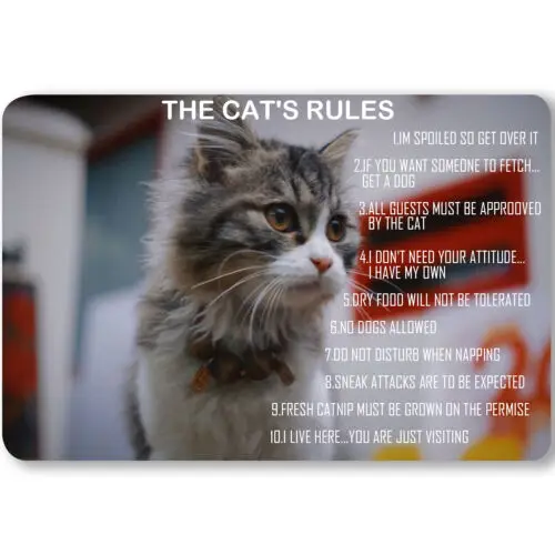 Металлический жестяной знак The Cat'S Rules, домашний художественный Декор для дома, бара, паба, офиса, 12x8 дюймов
Металлический жестяной знак The Cat'S Rules, домашний художественный Декор для дома, бара, паба, офиса, 12x8 дюймов