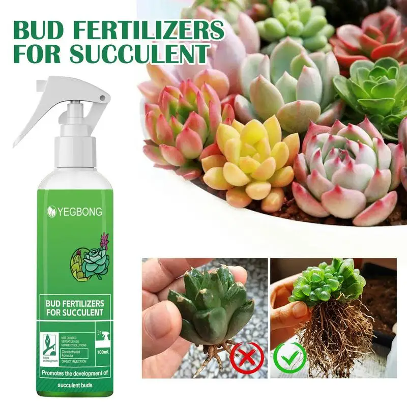 100ML Plant Nutrient Promote Sprouting Rapid Flowering Fast Potting Rooting Plant Nutrient Solution Supplement Garden Tool
100ML Plant Nutrient Promote Sprouting Rapid Flowering Fast Potting Rooting Plant Nutrient Solution Supplement Garden Tool