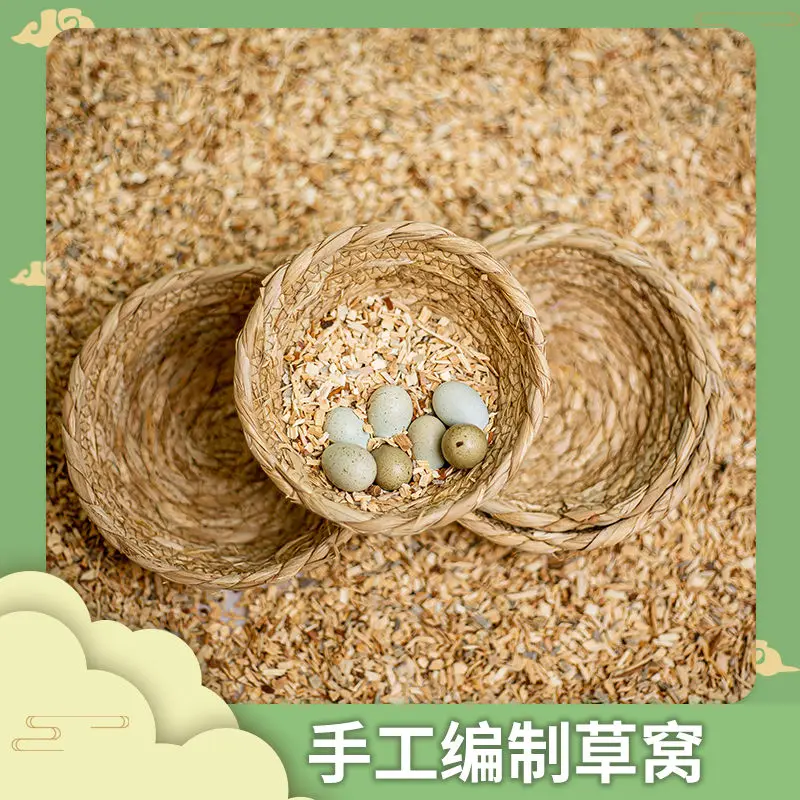 Pipai rabbit, rutin chicken, laying hen nest, terran nest, terran nest supplies, landscaping, shelter nest, hut, chick
Pipai rabbit, rutin chicken, laying hen nest, terran nest, terran nest supplies, landscaping, shelter nest, hut, chick
