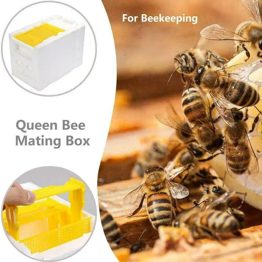 

1 Set Bee Mating Box Queen Bee Rearing Mating Beehive Beekeeping Tools Foam Beehives Harvest Pollination BeesHive Box