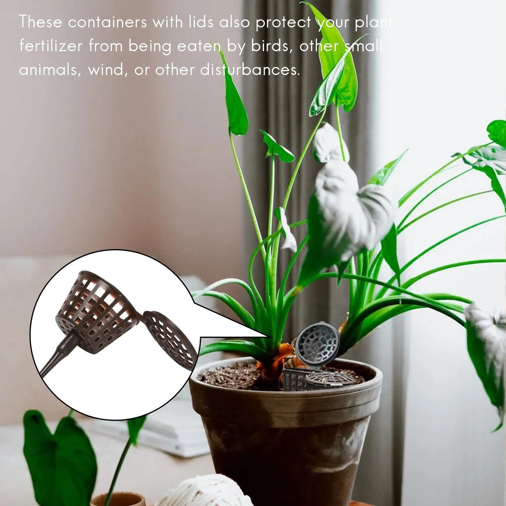 100 шт. Крышка для детского садоводства, инструмент для посадки в бонсай, Садовые принадлежности, корзина для сада, автоматическая коробка для удобрений
100 шт. Крышка для детского садоводства, инструмент для посадки в бонсай, Садовые принадлежности, корзина для сада, автоматическая коробка для удобрений