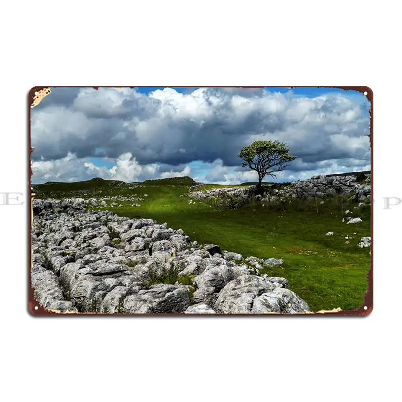 Single Tree On The Horizon Metal Sign Kitchen Cinema Decoration Decoration Character Tin Sign Poster
Single Tree On The Horizon Metal Sign Kitchen Cinema Decoration Decoration Character Tin Sign Poster