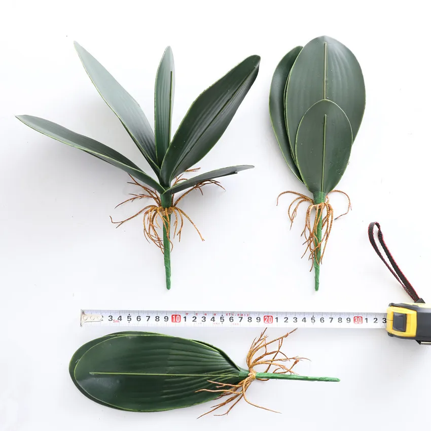 New Simulation Leaf Material Phalaenopsis Leaf Bundle Simulation Plant Phalaenopsis Leaves with Bearded Roots Flower Arrangement
New Simulation Leaf Material Phalaenopsis Leaf Bundle Simulation Plant Phalaenopsis Leaves with Bearded Roots Flower Arrangement