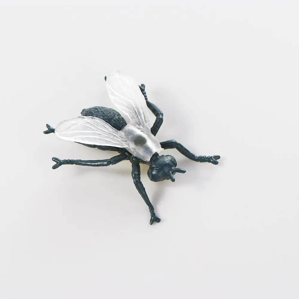 Kids Toy Fake Insect Spider Figures PVC Beetle Insect Model Animal Insect Toys Realistic Insect Figurine Simulation Insect
Kids Toy Fake Insect Spider Figures PVC Beetle Insect Model Animal Insect Toys Realistic Insect Figurine Simulation Insect