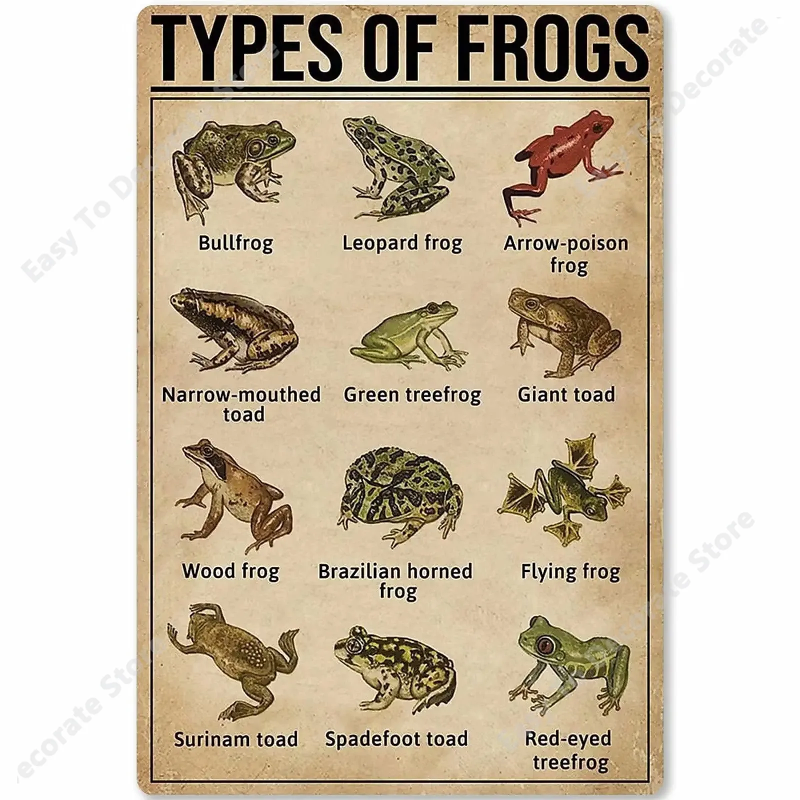 Types Of Frogs Metal Signs Frogs Knowledge Popular Science Guide Room Club Farm Wall Decor 12x18 In
Types Of Frogs Metal Signs Frogs Knowledge Popular Science Guide Room Club Farm Wall Decor 12x18 In