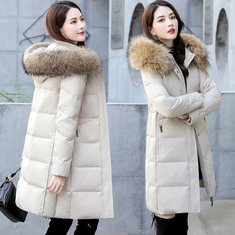 Down Cotton Jacket Women 2023 New Korean All-match Fashion Casual Winter Padded Coat Female Hooded Fur Collar Length Thicke Park
Down Cotton Jacket Women 2023 New Korean All-match Fashion Casual Winter Padded Coat Female Hooded Fur Collar Length Thicke Park