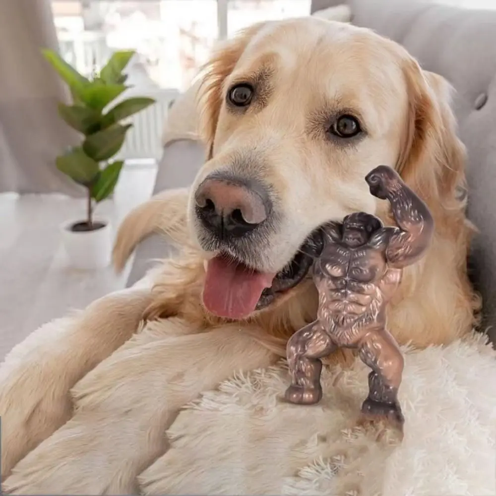 Realistic Gorilla Dog Chew Toy Gorilla Shape Bite-resistant Pet Molar Toy Nylon Dog Grinding Toy Nylon Teeth Cleaning Dog Toy
Realistic Gorilla Dog Chew Toy Gorilla Shape Bite-resistant Pet Molar Toy Nylon Dog Grinding Toy Nylon Teeth Cleaning Dog Toy