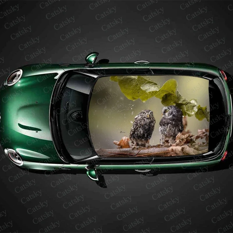 owl animal Car Roof Sticker Racing SUV Accessories Packaging Painting PVC Custom Car Graphic Decal
owl animal Car Roof Sticker Racing SUV Accessories Packaging Painting PVC Custom Car Graphic Decal