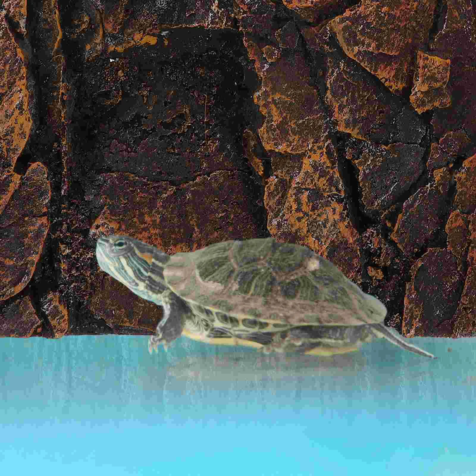 

Reptile Box Backdrop Snake Habitat Decoration Decorative Terrarium Background Fish Tank Boards Aquarium Backgrounds 3d Animal